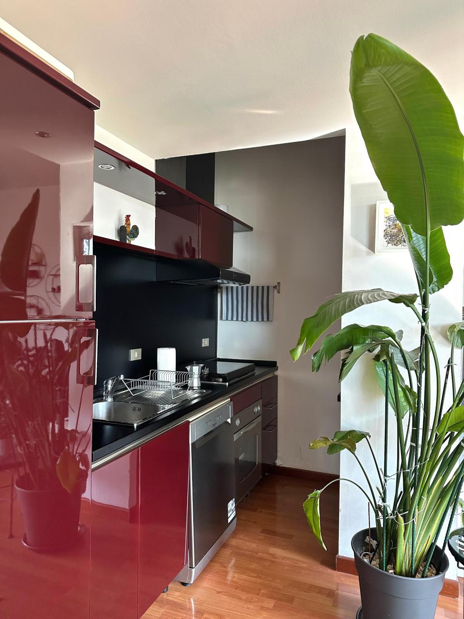 Urban Jungle - Attico Vista Duomo Apartment Milano Exterior foto