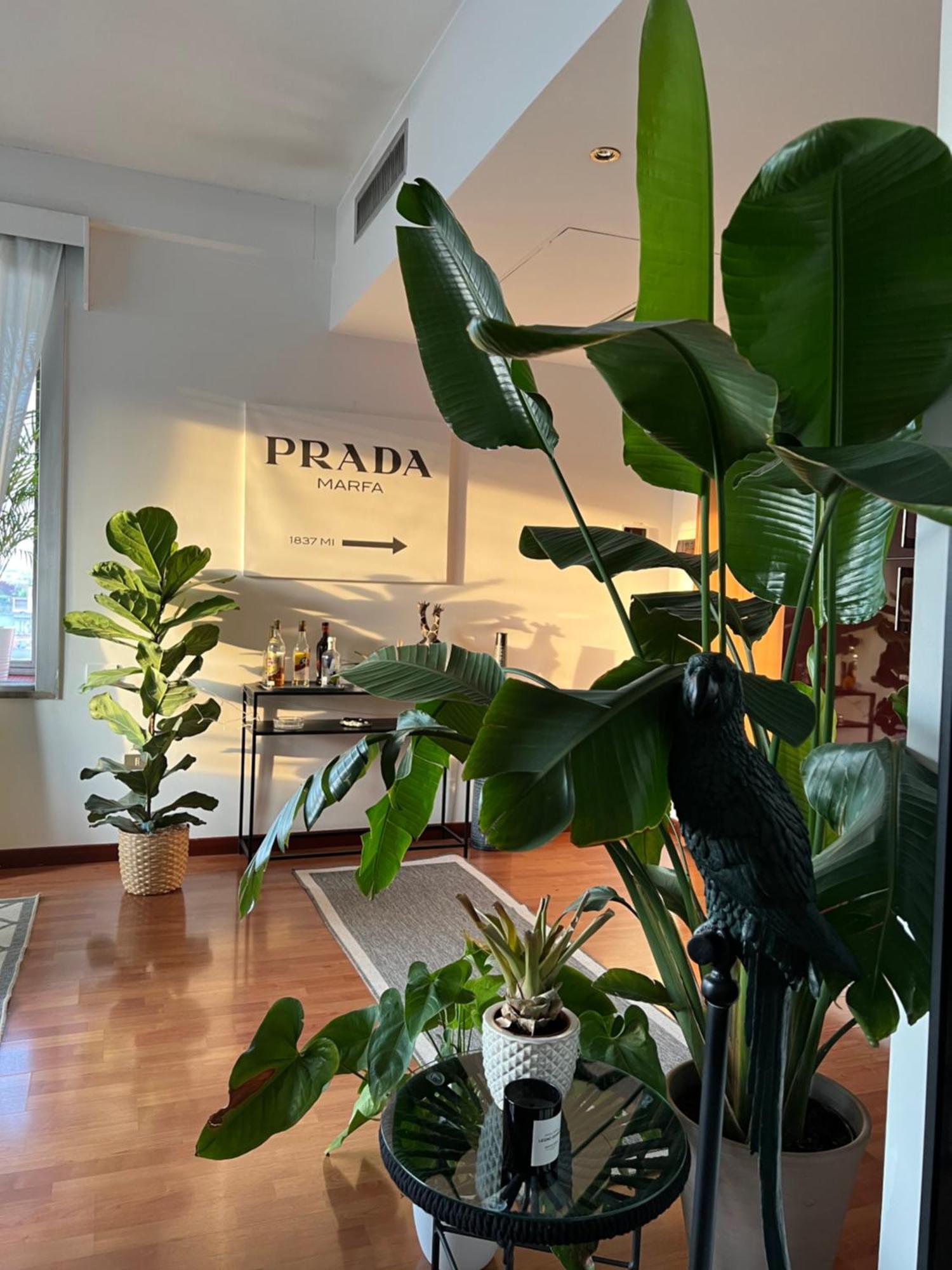 Urban Jungle - Attico Vista Duomo Apartment Milano Exterior foto